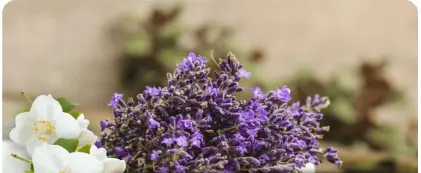 Lavender and Jasmine